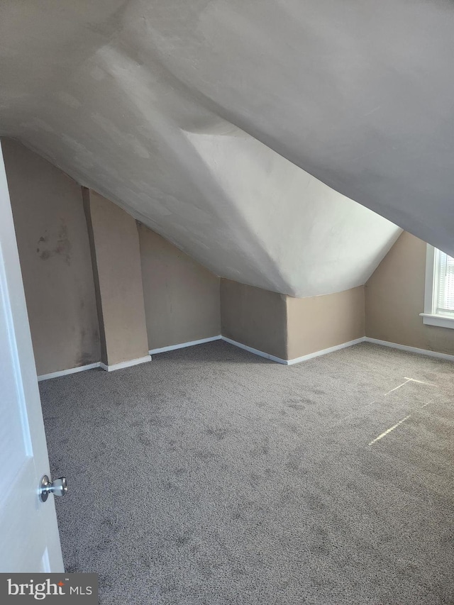 additional living space with carpet floors and lofted ceiling