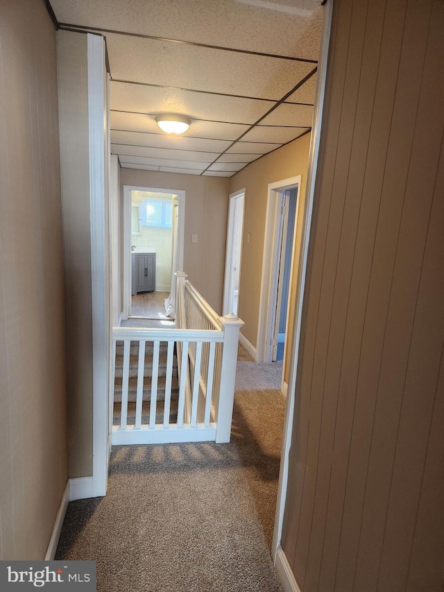 hallway with a paneled ceiling and carpet floors