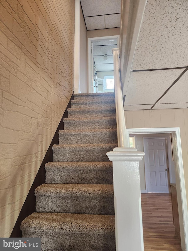 stairs with wooden walls and wood-type flooring