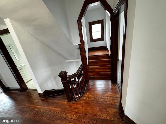 stairway with hardwood / wood-style floors