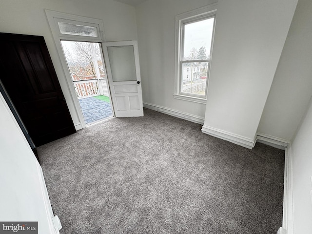 entryway featuring carpet and a wealth of natural light