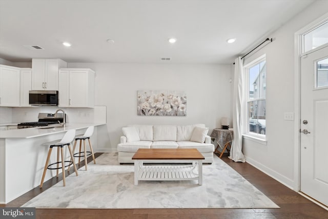 living room with hardwood / wood-style floors