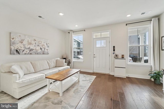 living room featuring wood-type flooring