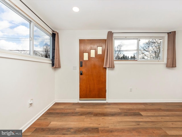 entrance foyer with a wealth of natural light and wood-type flooring