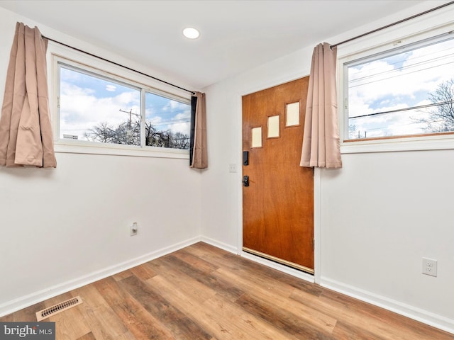 entryway featuring hardwood / wood-style floors and a healthy amount of sunlight