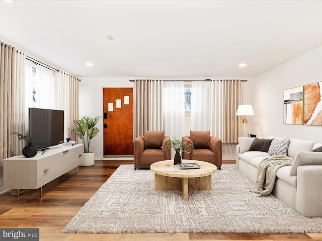 living room with hardwood / wood-style floors