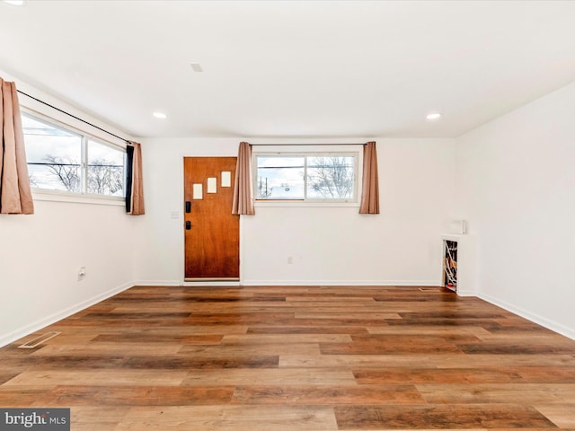 entryway featuring wood-type flooring