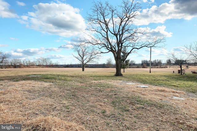 view of yard featuring a rural view