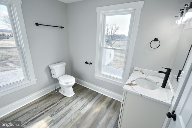 bathroom featuring vanity, a healthy amount of sunlight, toilet, and wood-type flooring