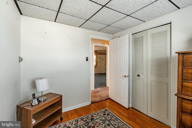 hallway with a paneled ceiling and light hardwood / wood-style flooring