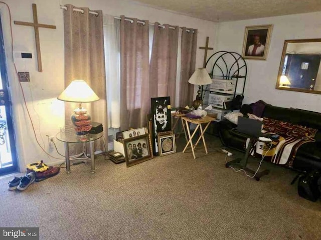 living area with carpet floors