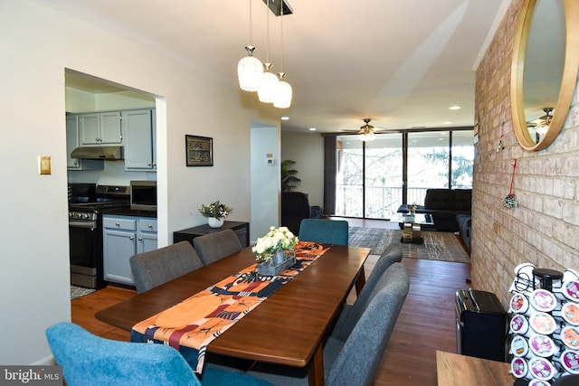 dining space with dark hardwood / wood-style floors and ceiling fan