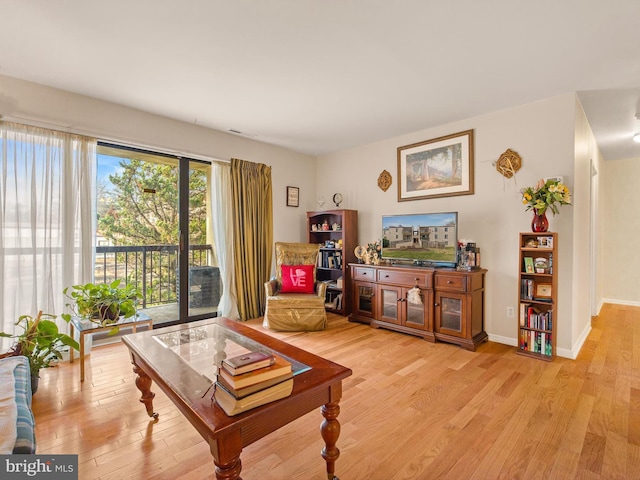 living room with light wood-type flooring