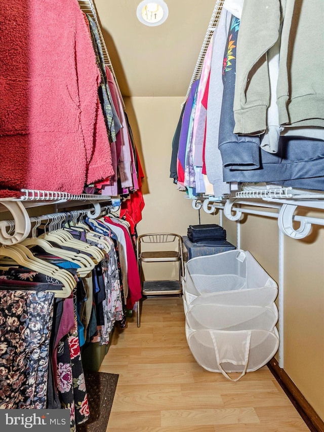 walk in closet with wood-type flooring