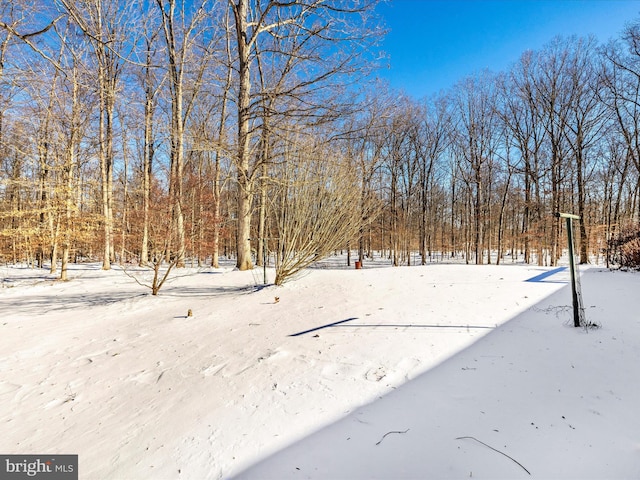 view of yard covered in snow