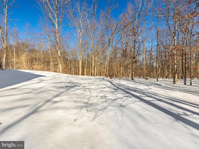 view of yard covered in snow