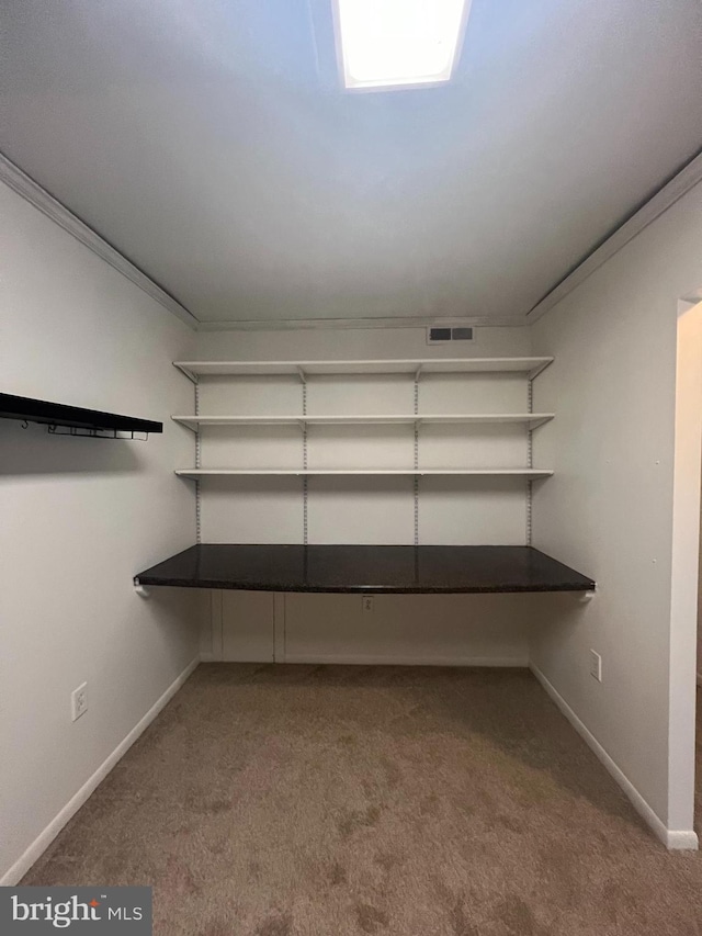 spacious closet featuring carpet flooring