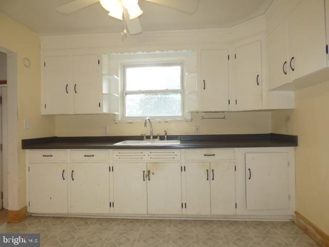 kitchen with white cabinetry, sink, and ceiling fan