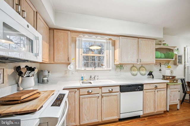 kitchen with light brown cabinetry, sink, light hardwood / wood-style floors, and white appliances