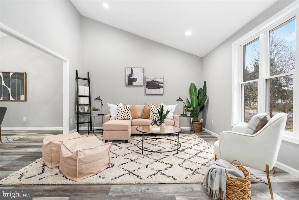 living room with dark hardwood / wood-style floors and high vaulted ceiling