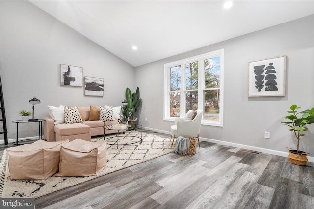 living room featuring wood-type flooring and lofted ceiling