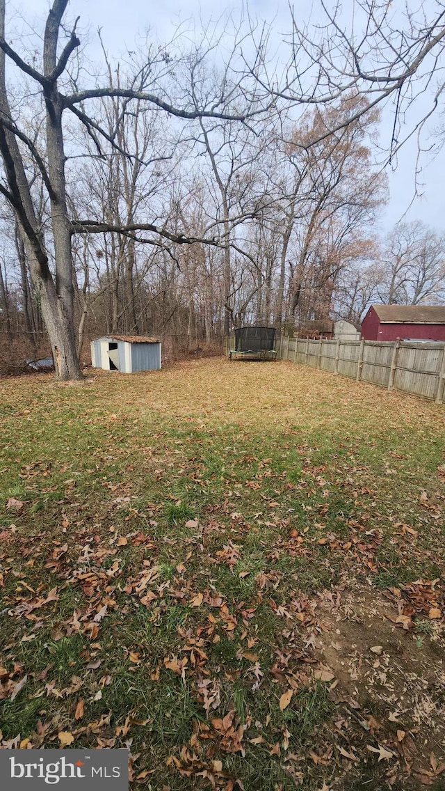 view of yard with a shed