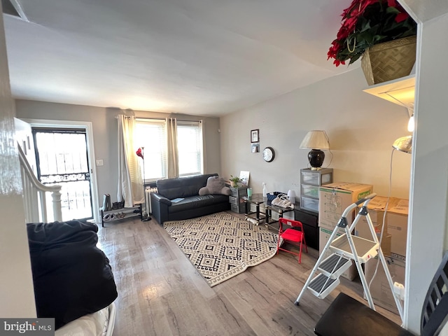 living room with hardwood / wood-style flooring