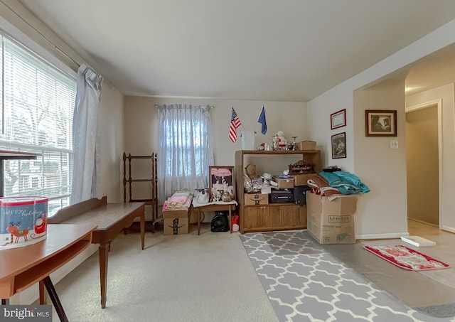 interior space featuring plenty of natural light and light carpet