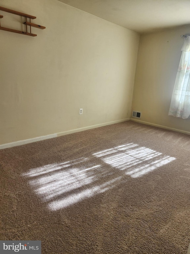 empty room featuring carpet