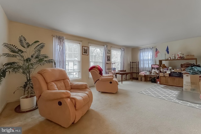 sitting room with carpet floors