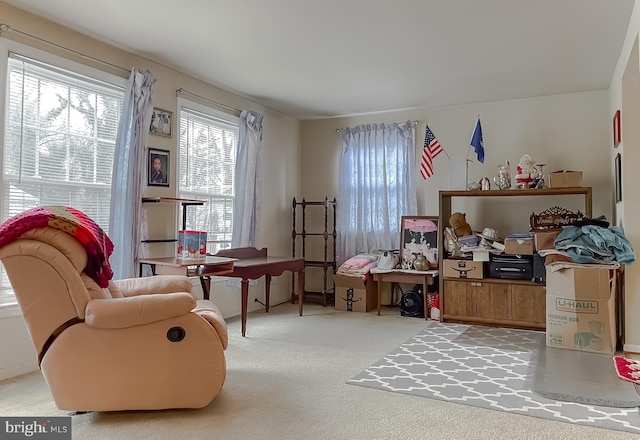 living area featuring carpet