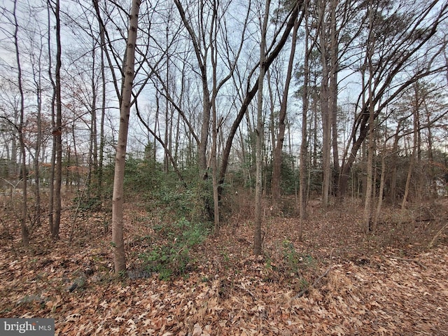 LOT14 Forest Grove Rd, Colonial Beach VA, 22443 land for sale