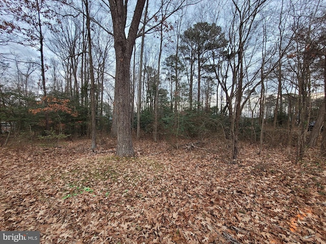 Listing photo 3 for LOT14 Forest Grove Rd, Colonial Beach VA 22443