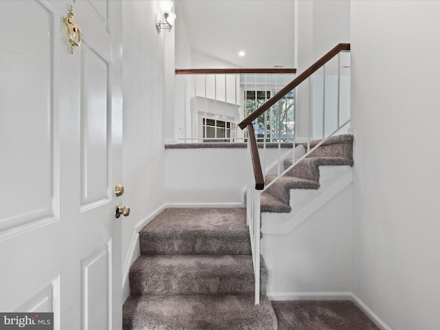 staircase with carpet floors