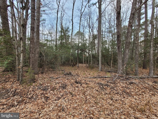 LOT33 Wildwood Rd, Colonial Beach VA, 22443 land for sale