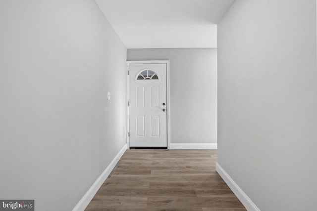 entryway with wood-type flooring