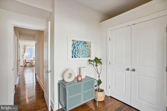 hallway with dark hardwood / wood-style flooring