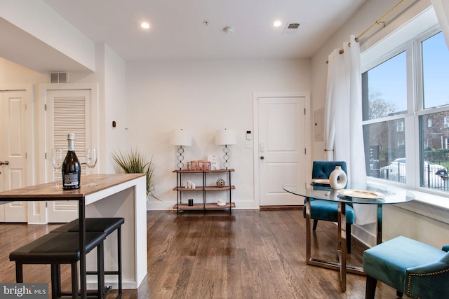 interior space featuring dark hardwood / wood-style flooring and a wealth of natural light