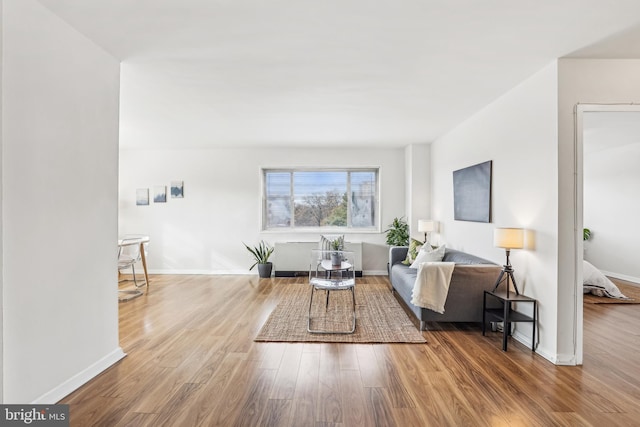 living room featuring wood-type flooring