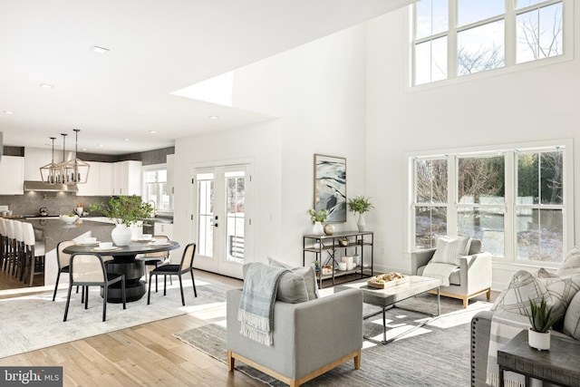 living room with french doors, light wood-type flooring, and a wealth of natural light