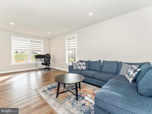 living room featuring light hardwood / wood-style flooring