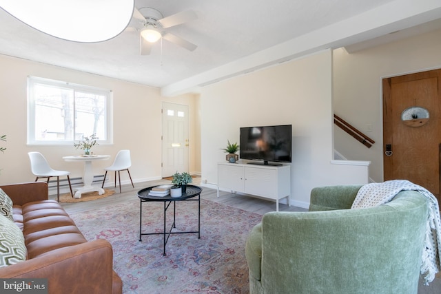 living room with ceiling fan and hardwood / wood-style floors