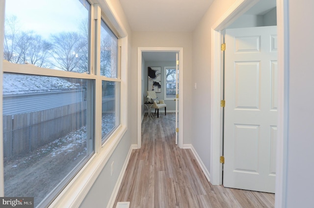 hall with light hardwood / wood-style flooring and a healthy amount of sunlight