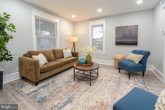 living room featuring wood-type flooring