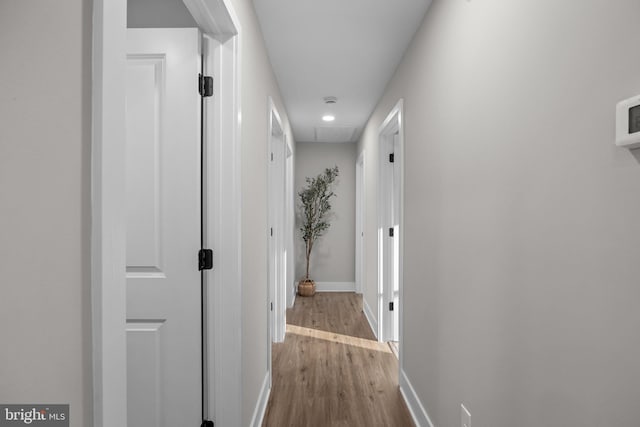 hallway featuring light hardwood / wood-style floors