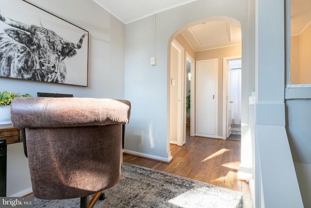 office area featuring hardwood / wood-style floors and crown molding