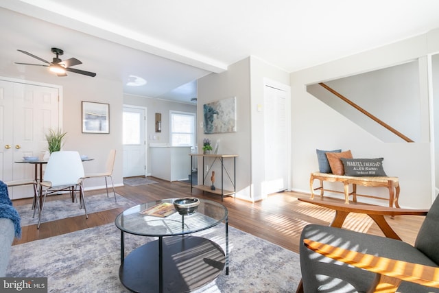 living room with ceiling fan and wood-type flooring