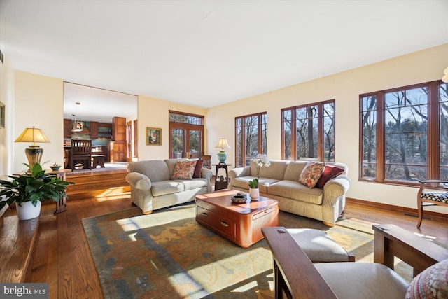 living room featuring hardwood / wood-style flooring and a wealth of natural light