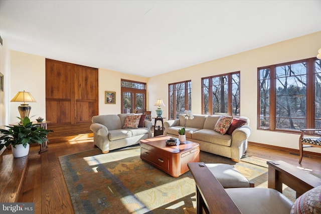 living room featuring plenty of natural light and dark wood-type flooring