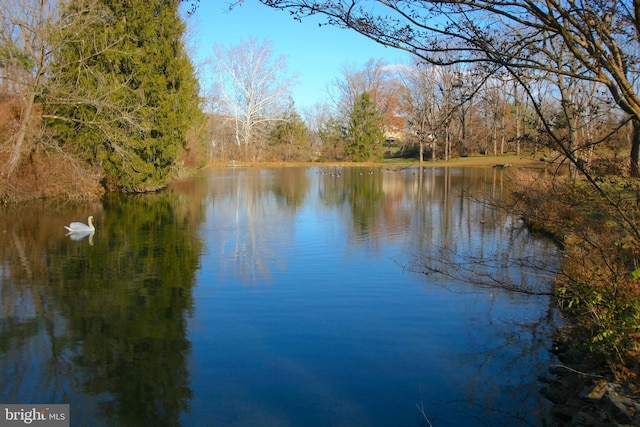 property view of water